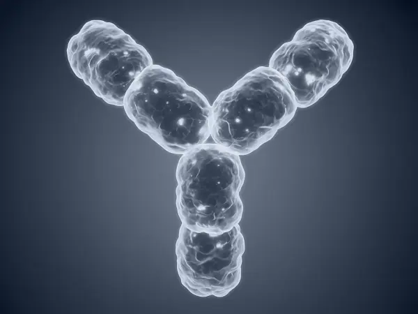 Polyclonal antibodies